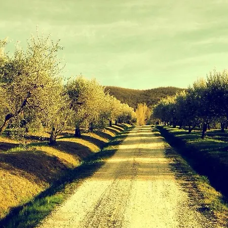 Podere Le Corone Agroturismo