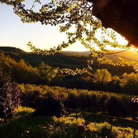 Agroturismo Podere Le Corone Monte Castello di Vibio