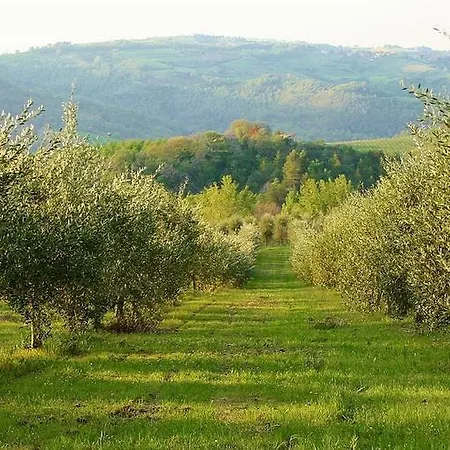 Agroturismo Podere Le Corone Monte Castello di Vibio