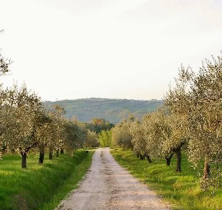 Podere Le Corone